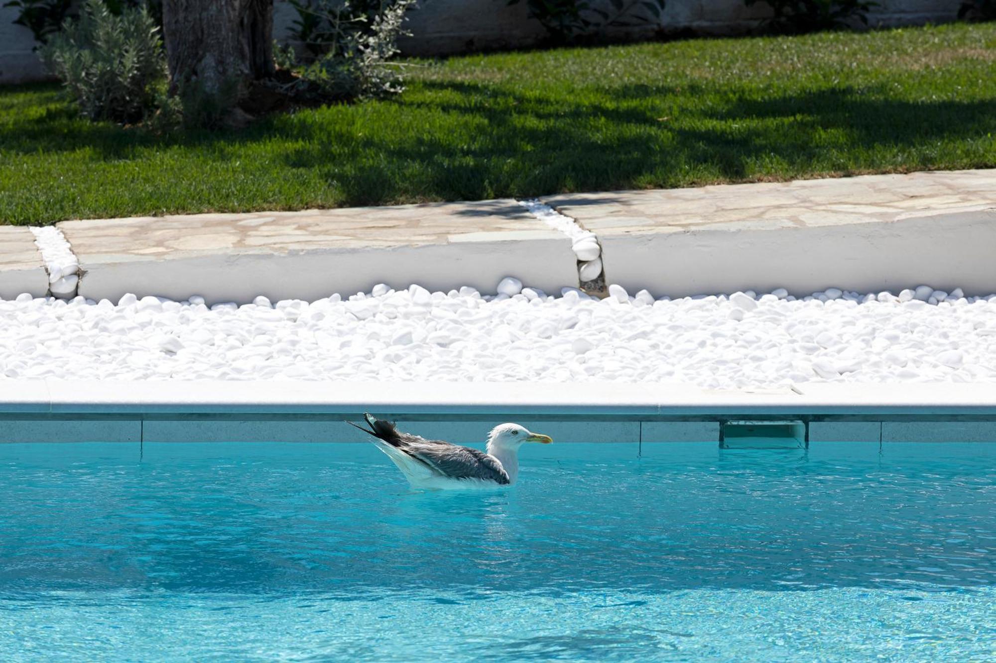 Lichnos Luxury Suites Sourpi Exteriör bild